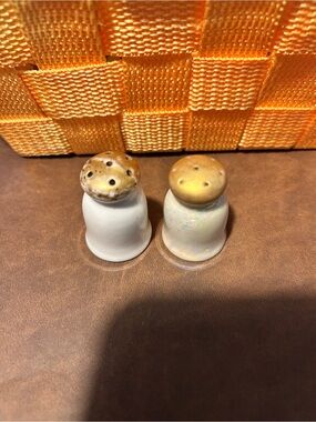 Whitt Ceramic Salt and Pepper Shakers with Golden Tops